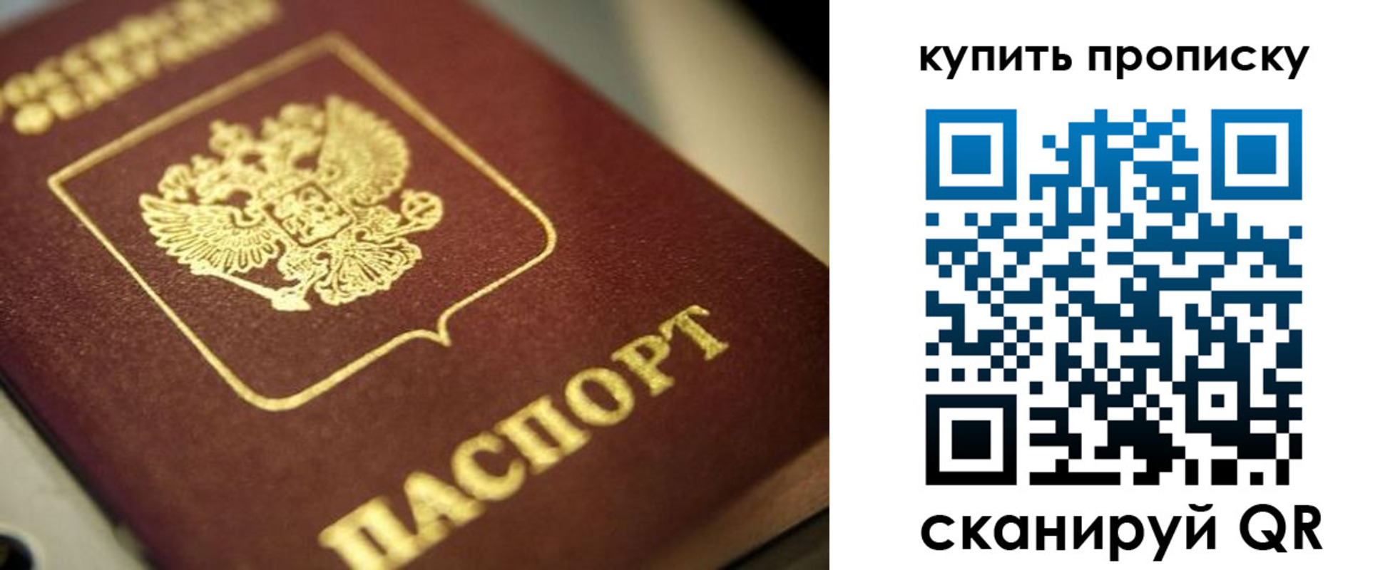 прописка поиск в Волхове